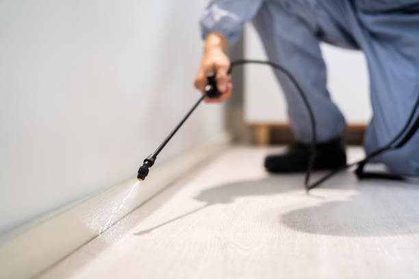 Rodent Entry Point Assessment in Benton Harbor