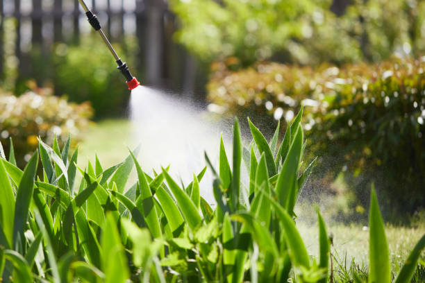 Tamper-Resistant Bait Stations for Rodents in Benton Harbor