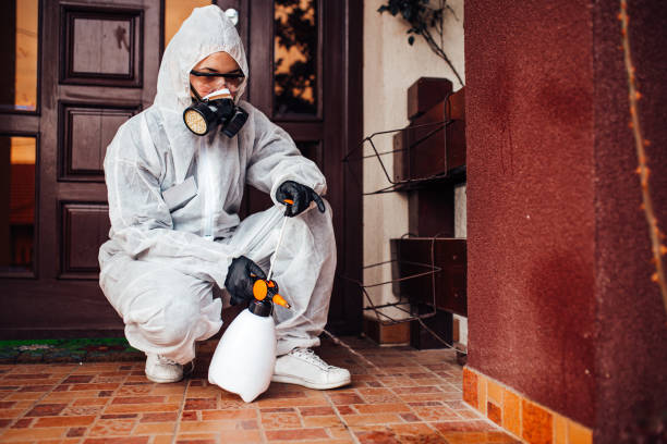 Attic and Crawl Space Rodent Treatment in Benton Harbor