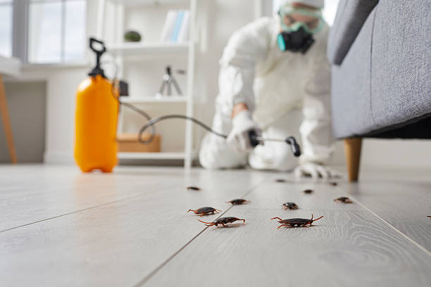 Commercial Rodent Management in Benton Harbor
